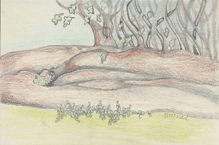 Postcard #10 G.Mudd Landscape