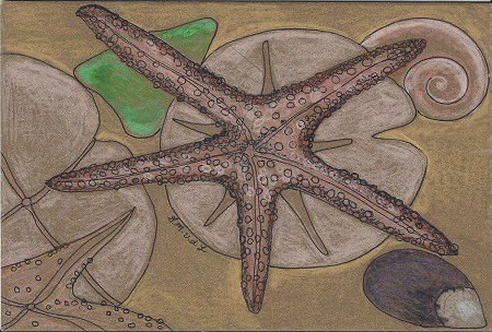 Star of New London, Gretchen van der Lyke, Colored Pencil on Rag Mat, Postcard #60, $TBD