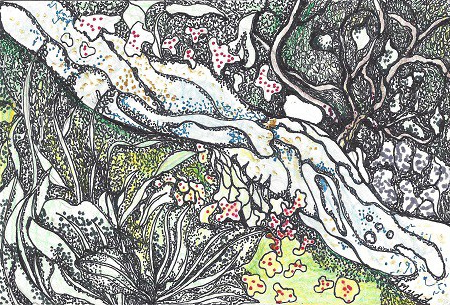 New London Sea Glass, Gretchen van der Lyke, Colored Pencil on Rag Mat, Postcard #61, $TBD